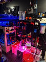 IMG_0896.jpeg