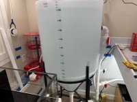 IMG_1510.jpeg
