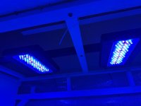 IMG_0451.jpeg