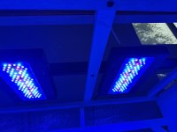 IMG_0452.jpeg