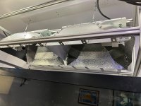 IMG_8868.jpeg