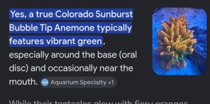 Screenshot_20260525_113144_Google.jpg