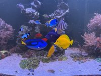 IMG_0011.jpeg