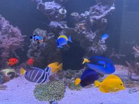 IMG_0010.jpeg