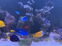IMG_0008.jpeg