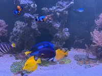 IMG_0007.jpeg