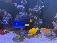 IMG_0006.jpeg