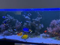IMG_0005.jpeg