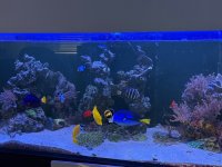IMG_0004.jpeg