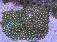 IMG_0012.jpeg