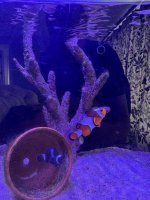 IMG_3676.jpeg