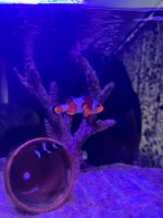 IMG_3679.jpeg