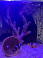 IMG_3677.jpeg