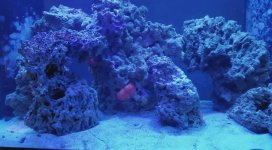 IMG_1173.jpeg