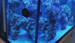 IMG_1174.jpeg