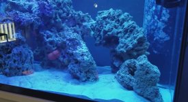 IMG_1175.jpeg