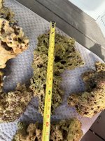 IMG_1181.jpeg