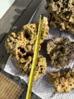 IMG_1179.jpeg