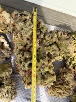 IMG_1178.jpeg