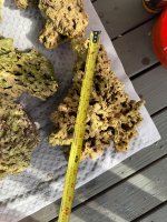 IMG_1180.jpeg