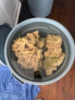 IMG_1177.jpeg
