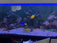 IMG_0486.jpeg