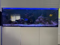 IMG_0487.jpeg