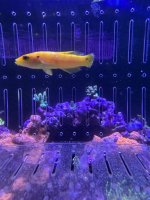 IMG_3178.jpeg