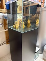 IMG_2273.jpeg