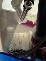 IMG_2274.jpeg