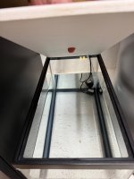IMG_2267.jpeg