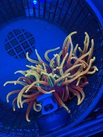 IMG_6462.jpeg