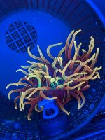 IMG_6463.jpeg