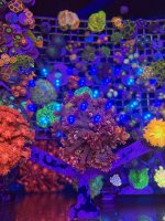 IMG_0136.jpeg