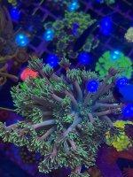 IMG_0134.jpeg