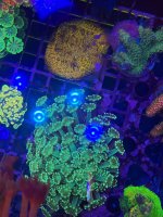 IMG_0133.jpeg