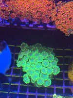 IMG_0132.jpeg