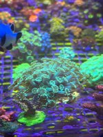 IMG_0128.jpeg