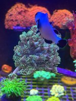 IMG_0127.jpeg