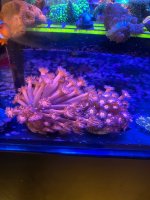 IMG_0125.jpeg