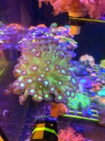 IMG_0122.jpeg