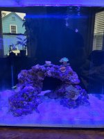 IMG_5892.jpeg