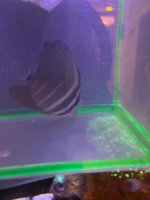 IMG_0568.jpeg