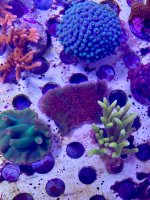 AquaCam_8B6F1A2D.jpeg