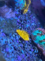 IMG_5861.jpeg