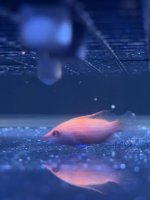 IMG_0948.jpeg