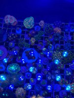 IMG_1783.jpeg