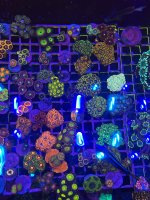 IMG_1778.jpeg