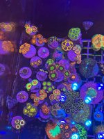 IMG_1773.jpeg