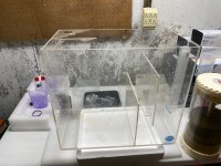 IMG_5957.jpeg